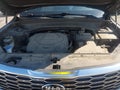 2021 Kia Telluride — photo 10 of 16 | VIN 5XYP64HCXMG140754