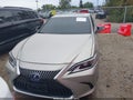 2020 Lexus ES 300h — photo 12 of 16 | VIN 58AD21B16LU010623