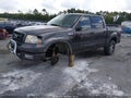 2004 Ford F-150 — photo 2 of 17 | VIN 1FTPW14504KC27496