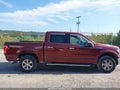 2015 Ford F-150 — photo 13 of 16 | VIN 1FTEW1EF4FFC56929