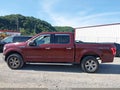 2015 Ford F-150 — photo 14 of 16 | VIN 1FTEW1EF4FFC56929