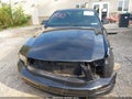 2005 Ford Mustang — photo 13 of 17 | VIN 1ZVHT80N855194787