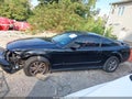 2005 Ford Mustang — photo 15 of 17 | VIN 1ZVHT80N855194787