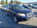 2007 Hyundai Santa Fe — photo 1 of 12 | VIN 5NMSH13E47H029610