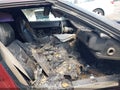 1984 Chevrolet Corvette — photo 5 of 10 | VIN 1G1AY0782E5115095