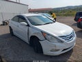 2013 Hyundai Sonata — photo 1 of 14 | VIN 5NPEC4AC6DH783038