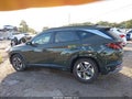 2026 Hyundai Tucson — photo 14 of 16 | VIN 5NMJB3DE6TH625285