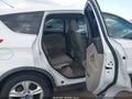 2013 Ford Escape — photo 8 of 16 | VIN 1FMCU0GX1DUA60819