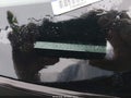 2005 Lexus ES 330 — photo 11 of 11 | VIN JTHBA30G955057147