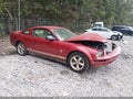 2008 Ford Mustang — photo 1 of 13 | VIN 1ZVHT80N085194965