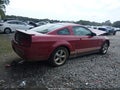 2008 Ford Mustang — photo 4 of 13 | VIN 1ZVHT80N085194965