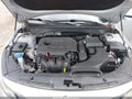 2019 Kia Optima — photo 10 of 17 | VIN 5XXGT4L3XKG295497