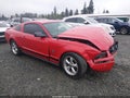 2007 Ford Mustang — photo 1 of 19 | VIN 1ZVHT80N475349919
