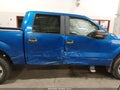 2014 Ford F-150 — photo 6 of 16 | VIN 1FTFW1EF5EKE90930