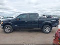 2014 Ford F-150 — photo 14 of 16 | VIN 1FTFW1ET1EFC71221