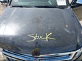 2017 Chevrolet Suburban — photo 10 of 17 | VIN 1GNSKJKC2HR406649