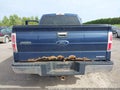 2013 Ford F-150 — photo 17 of 17 | VIN 1FTFX1EF2DFA03199