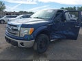 2013 Ford F-150 — photo 2 of 17 | VIN 1FTFX1EF2DFA03199