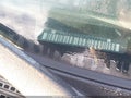 2007 Chevrolet Tahoe — photo 12 of 12 | VIN 1GNFK13007R121520