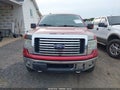 2010 Ford F-150 — photo 12 of 16 | VIN 1FTEX1E89AFB05169