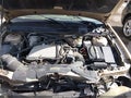 2004 Chevrolet Malibu — photo 10 of 16 | VIN 1G1ZT54854F246419