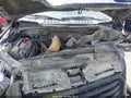 2017 Ford F-150 — photo 10 of 18 | VIN 1FTEW1EF5HKD92416