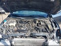 2016 Honda Civic — photo 10 of 17 | VIN 19XFC1F92GE041213