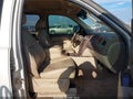 2010 Chevrolet Suburban 1500 — photo 5 of 16 | VIN 1GNUKKE3XAR160109