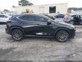 2025 Lexus NX 250 — photo 13 of 16 | VIN 2T2GDCAZ0SC022067