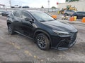 2025 Lexus NX 250 — photo 1 of 16 | VIN 2T2GDCAZ0SC022067