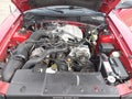1994 Ford Mustang — photo 10 of 21 | VIN 1FALP4043RF211275