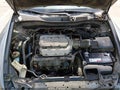 2008 Honda Accord — photo 10 of 17 | VIN 1HGCP368X8A018388