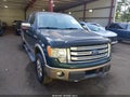 2013 Ford F-150 — photo 1 of 16 | VIN 1FTFW1ET9DKD34829