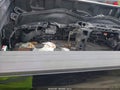 2024 Ford F-350 — photo 6 of 20 | VIN 1FT8W3BM1REC92213