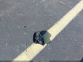 2021 Hyundai Tucson — photo 12 of 17 | VIN KM8J23A42MU330458