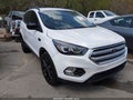 2019 Ford Escape — photo 1 of 16 | VIN 1FMCU0GD8KUA40926