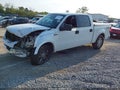 2004 Ford F-150 — photo 2 of 17 | VIN 1FTPW12564FA09817