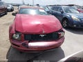 2007 Ford Mustang — photo 12 of 16 | VIN 1ZVFT84N875276345