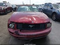 2007 Ford Mustang — photo 6 of 16 | VIN 1ZVFT84N875276345