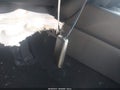 2026 Mazda CX-50 — photo 11 of 16 | VIN 7MMVABDL6TN474819