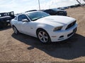 2014 Ford Mustang — photo 1 of 16 | VIN 1ZVBP8CF7E5326663