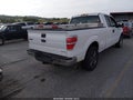 2010 Ford F-150 — photo 4 of 11 | VIN 1FTEX1CW7AFA84341
