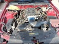 2005 Ford Mustang — photo 10 of 14 | VIN 1ZVHT82H055181555
