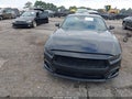 2024 Ford Mustang — photo 13 of 18 | VIN 1FA6P8TH9R5146201