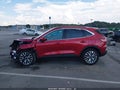 2022 Ford Escape — photo 14 of 17 | VIN 1FMCU9J9XNUA99280