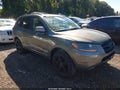 2007 Hyundai Santa Fe — photo 1 of 10 | VIN KM8SG13D97U096492