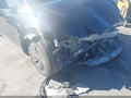 2026 Tesla Model Y — photo 19 of 20 | VIN 7SAYGDEE1TF377004