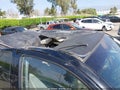 2014 Toyota Tacoma — photo 13 of 18 | VIN 3TMJU4GN1EM165660
