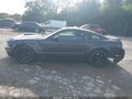 2008 Ford Mustang — photo 14 of 16 | VIN 1ZVHT82H785189401