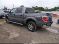 2010 Ford F-150 — photo 3 of 17 | VIN 1FTFW1EV8AFD90685